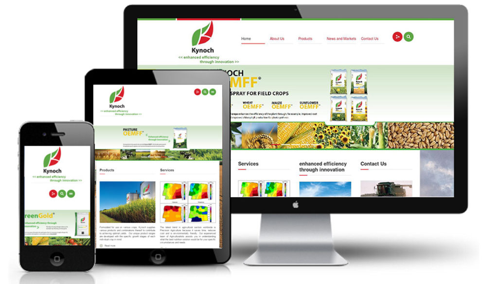 micro site web