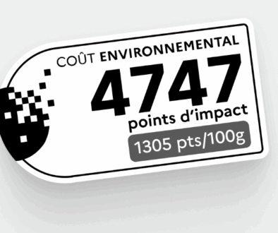 cout environnemental
